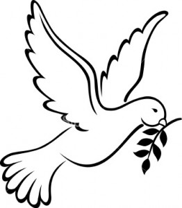 Peace Dove